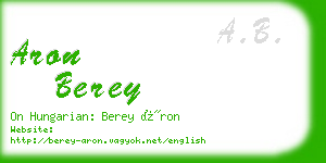 aron berey business card